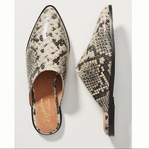 Seychelles Pointed Toe Flats
